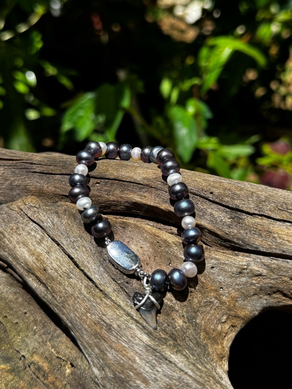 Fossilized shark tooth Freshwater Pearl Bracelet Sterling Silver Clasp
